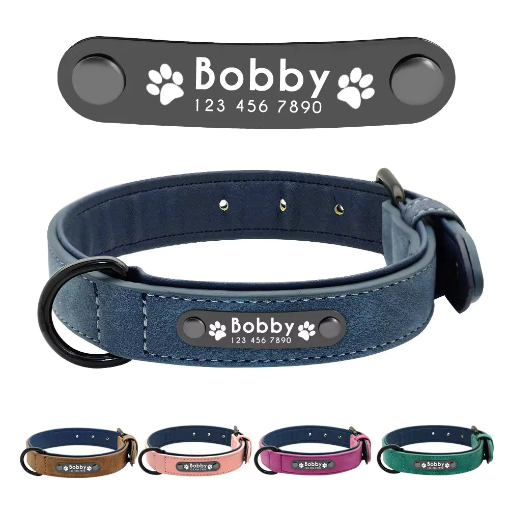 DOG COLLAR