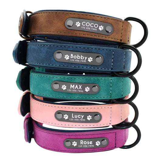 DOG COLLAR