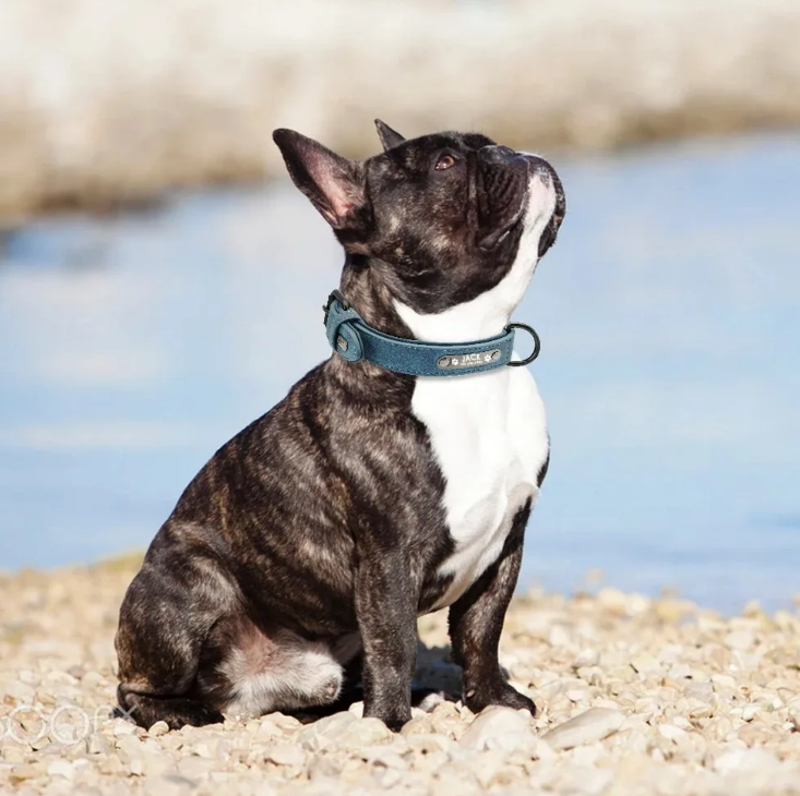 DOG COLLAR